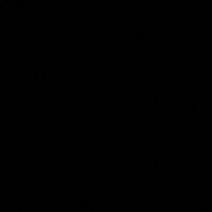 Meet your Posher, Zoey